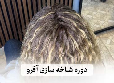 دوره شاخه سازی افرو - آموزش آفرو